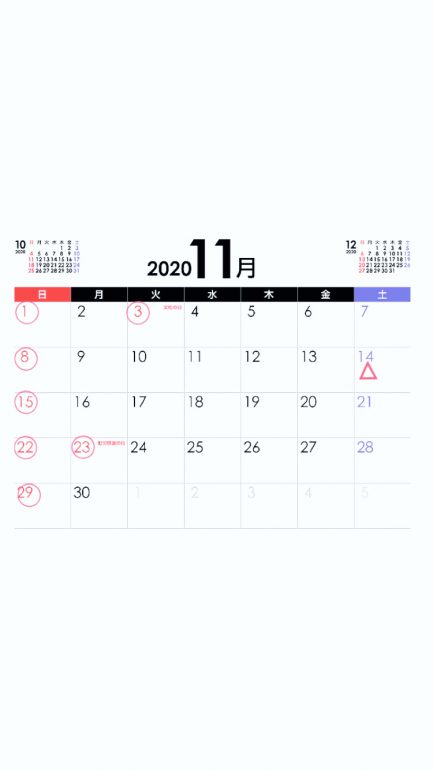 11月休日　3、23日