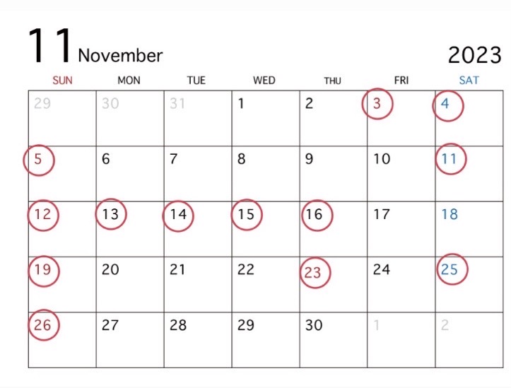 11月休日