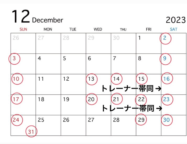 12月休日